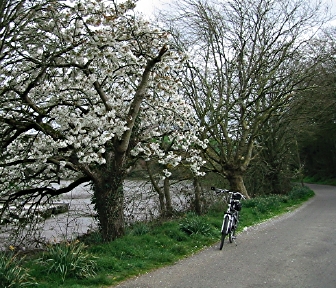 bicycling and walking essay bicycling and walking essay